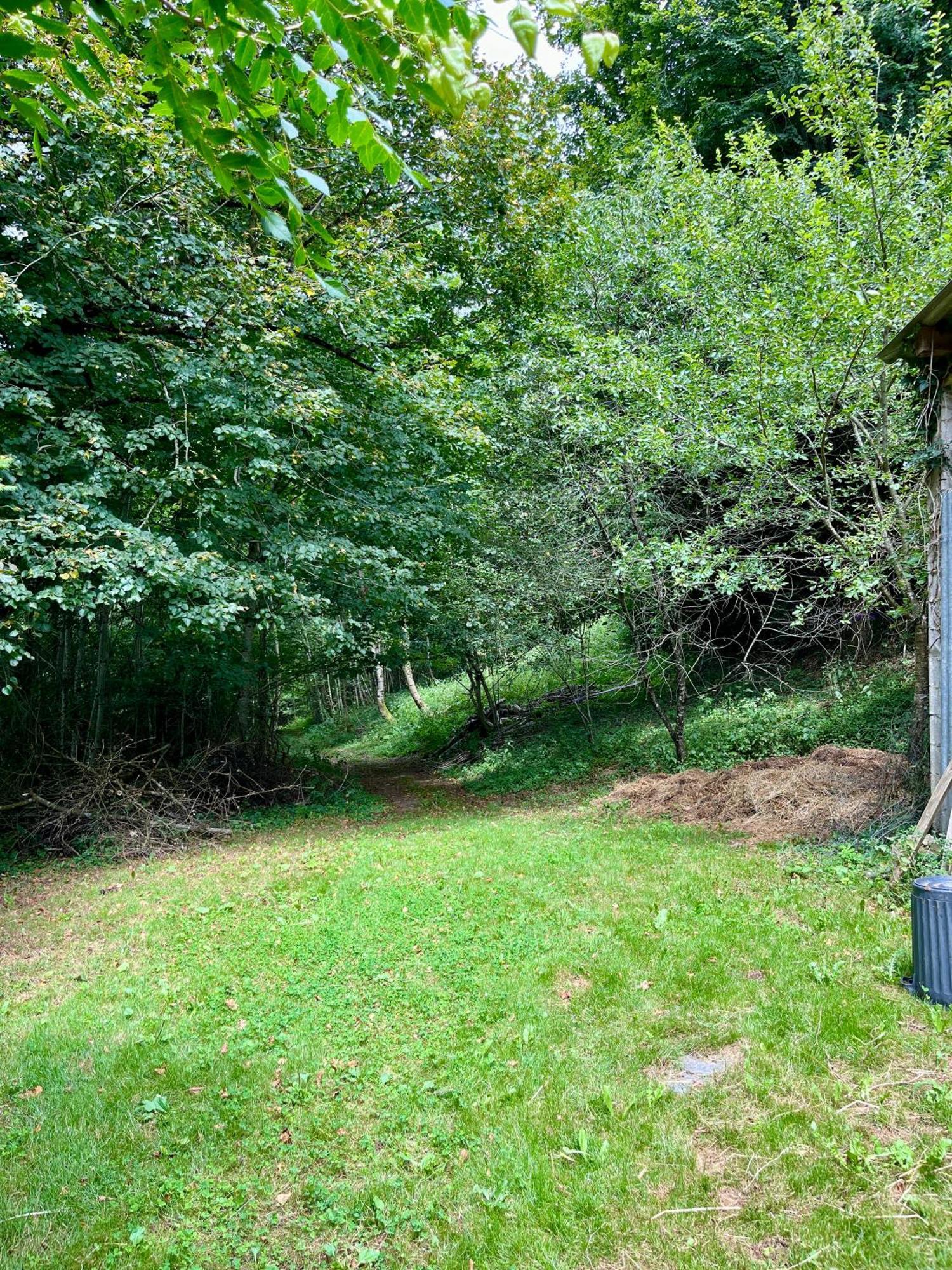 Parenthese En Foret - Lodge Baliveau Le Bez  Екстер'єр фото